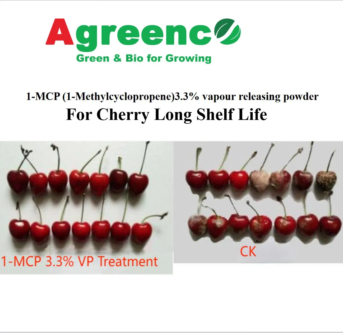 Regulador de Crecimiento de Plantas (1-Methylcyclopropene) 1-Mcp3.3%Vp para el Almacenamiento Fresco de Frutas y Flores