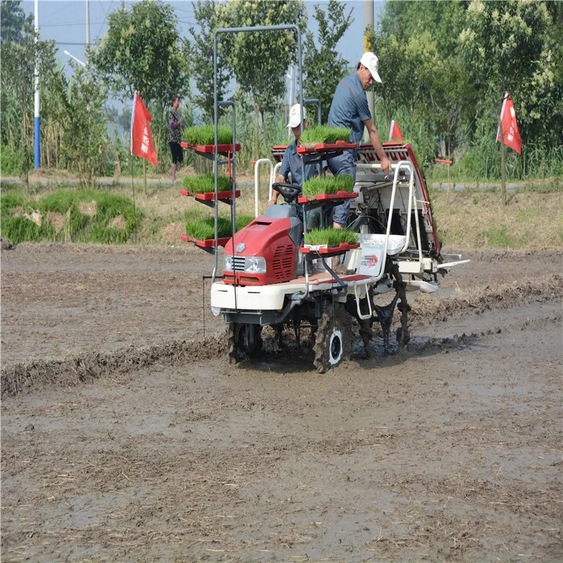 Transplantador de arroz cultivador de seis filas tipo de alta velocidad diésel