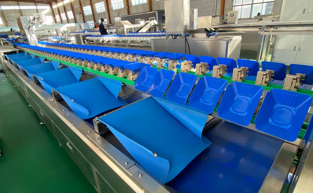 Máquina clasificadora de cebollas de alto volumen para cultivadores agrícolas