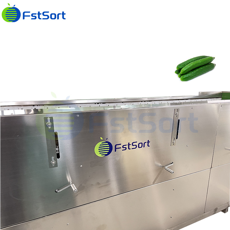Máquina de clasificación y graduación de tomates cherry, línea de procesamiento de pepinos y gherkins, clasificador de tamaño de pimientos cherry