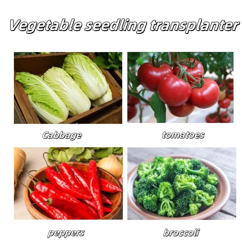 Máquina de trasplante de plántulas de vegetales de alta calidad