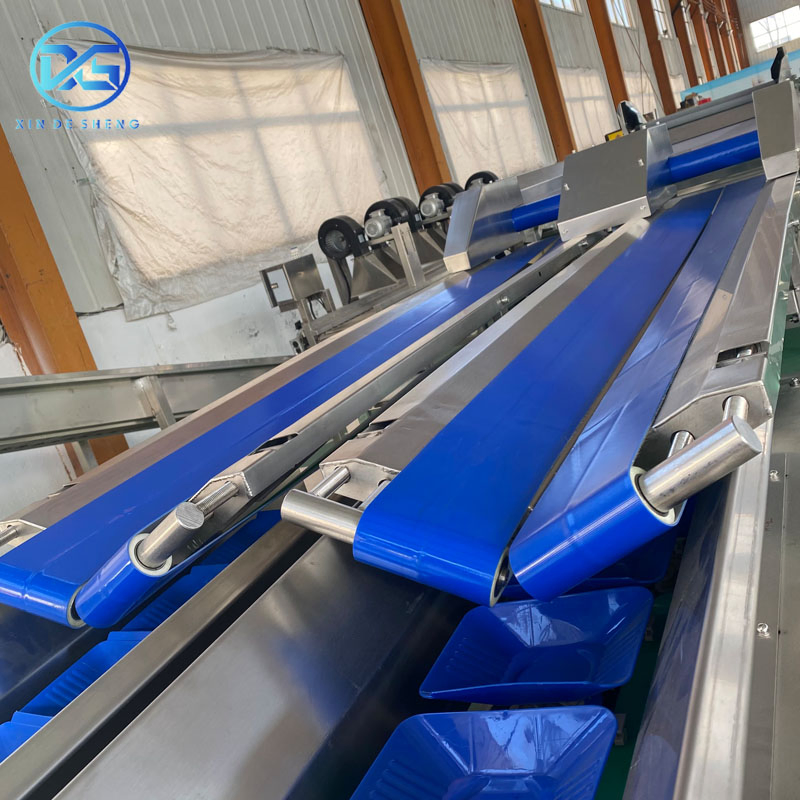 Máquina clasificadora de cebollas de alto volumen para cultivadores agrícolas
