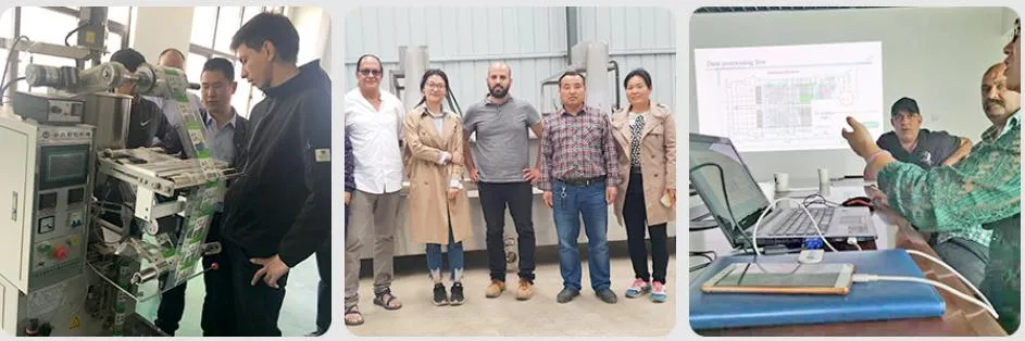 Venta Caliente Descorazonador Automático Comercial de Lichi, Limpiador de Manzanas y Clasificador de Tomates, Máquina de Clasificación de Manzanas