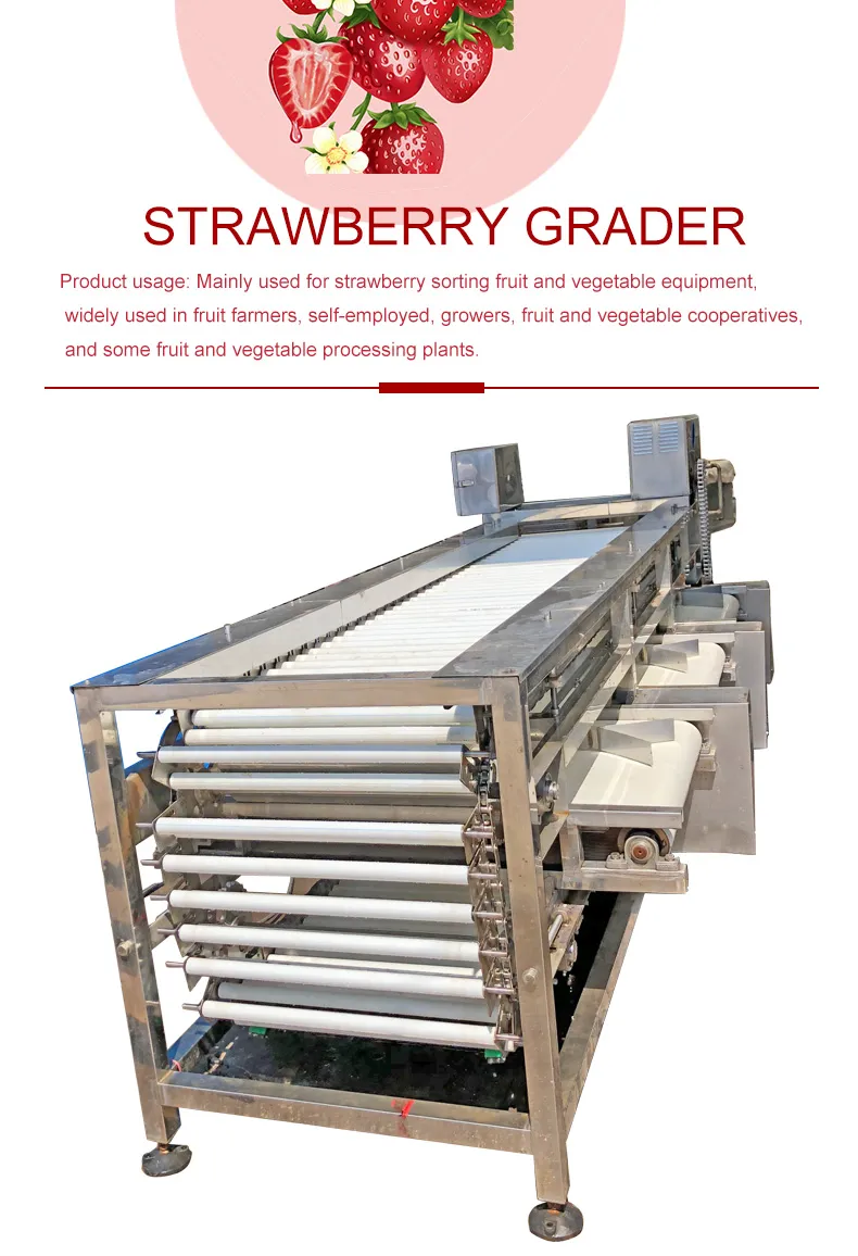 Máquina de limpieza y clasificación de frutas, deshuesadora automática industrial de longan y lichi
