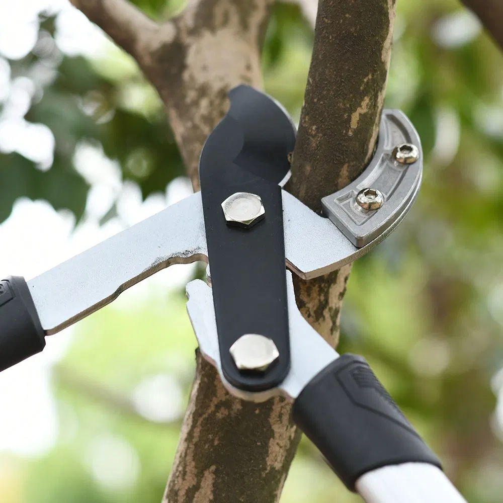 Podadoras telescópicas profesionales para jardinería, cortadoras de ramas con mango de aluminio