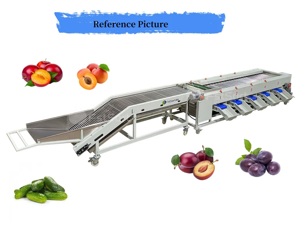Máquina de clasificación de pepinos, nueces, cebollas, papas, rábanos, zanahorias, batatas, tomates cherry, lichis, jujubes, pimientos verdes, ciruelas, berenjenas