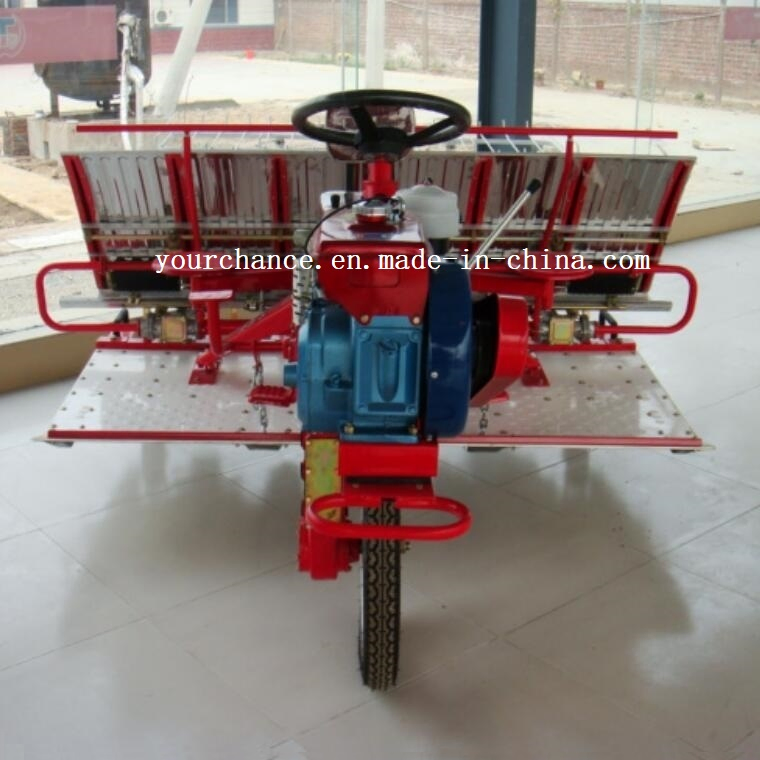 Venta Caliente en India 2z-8238 8 Filas 238mm Ancho Tipo de Conducción Transplantador de Arroz de Alta Calidad y Bajo Precio