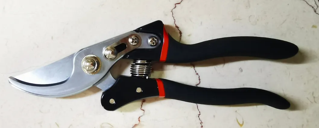 Tijeras de podar de bypass de acero al carbono de alta calidad con mango de PVC para podar