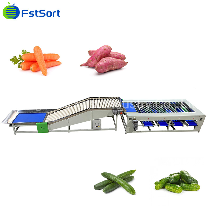 Máquina de clasificación de pepinos de gran capacidad Fstsort, máquina de procesamiento de pepinos, equipo de clasificación, máquina de dimensionamiento de frutas y verduras, clasificación de rodillos en seis niveles