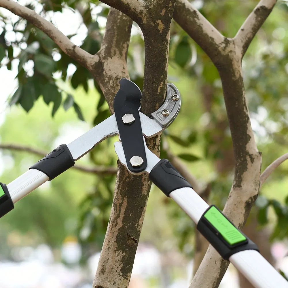 Podadoras telescópicas profesionales para jardinería, cortadoras de ramas con mango de aluminio