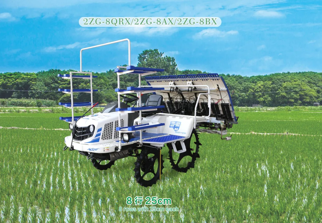 Transplantador de arroz 2ZG-8QRX/2ZG-8AX/2ZG-8BX