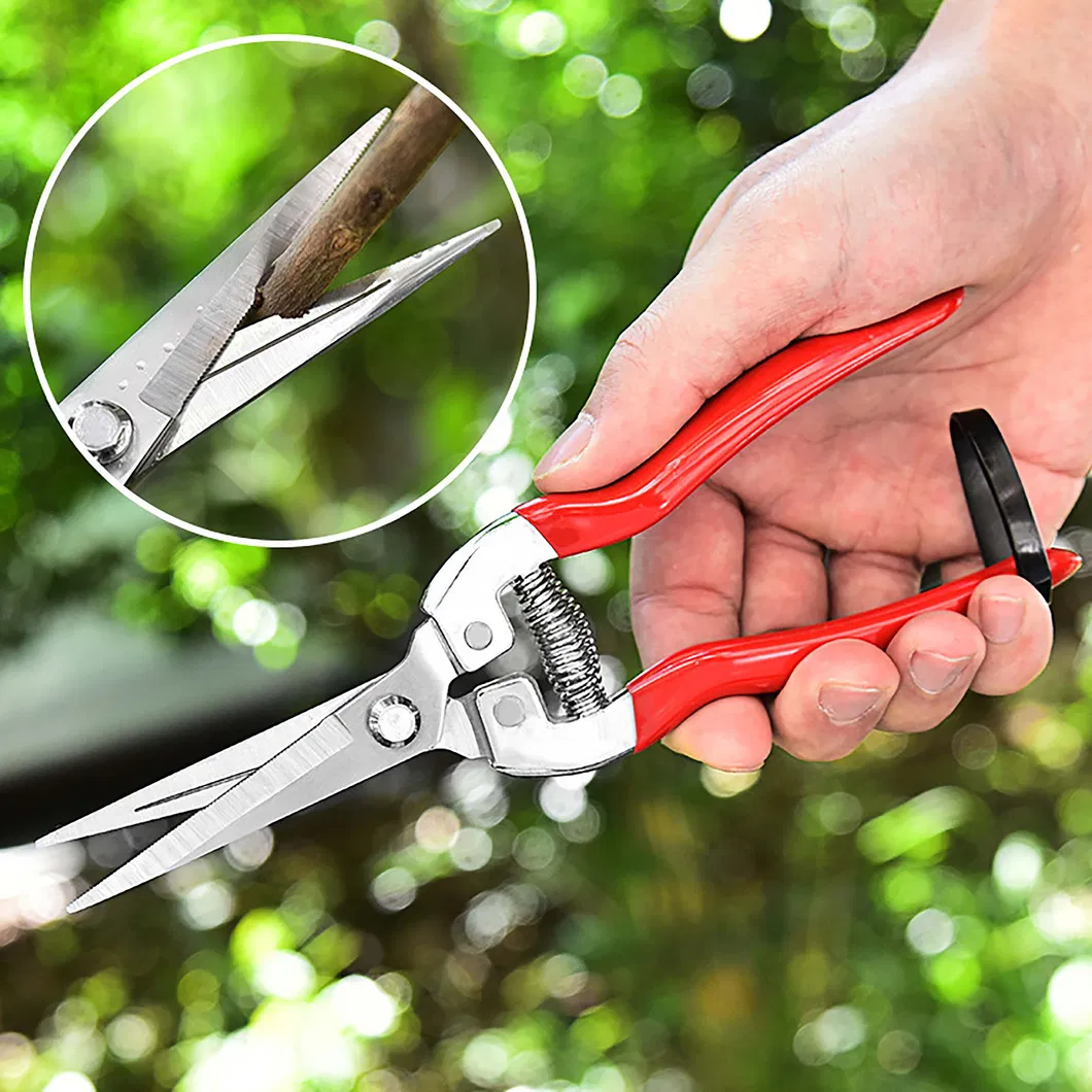 Tijeras de Jardín de Acero Inoxidable con Cuchillas de Acero Sk5 y Punta Recta para Podar