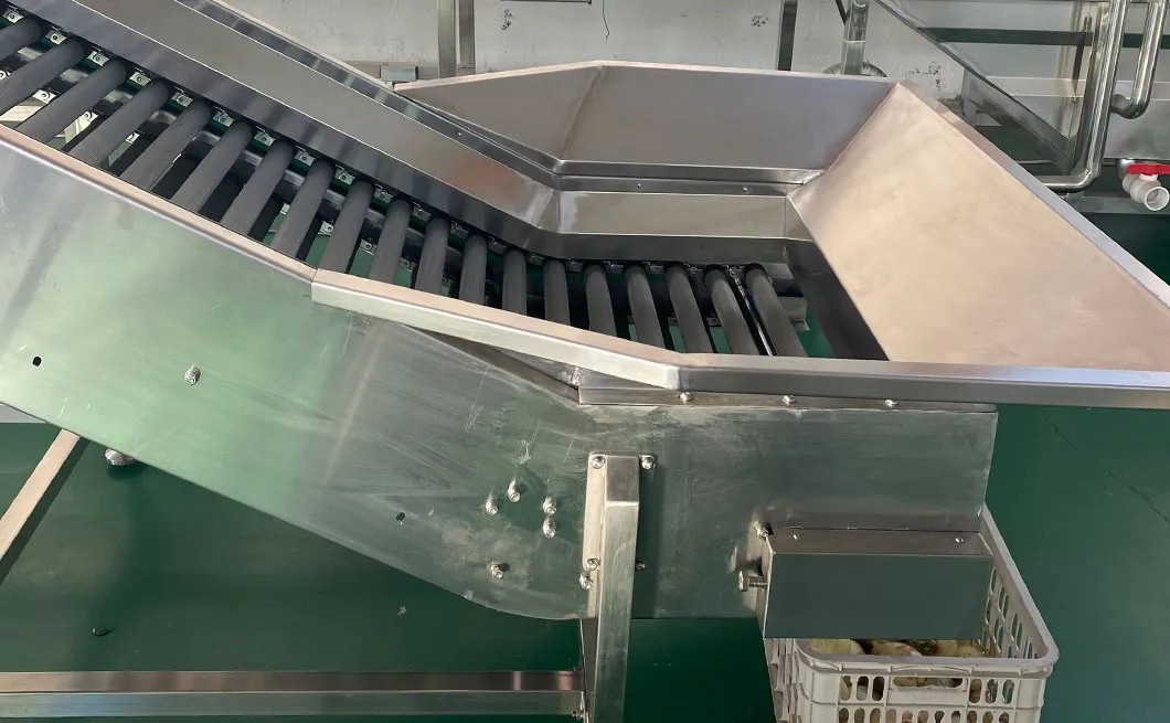 Máquina clasificadora de cebollas de alto volumen para cultivadores agrícolas