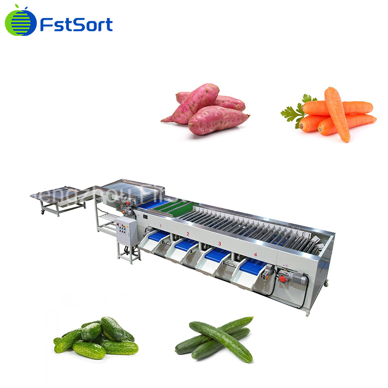 Máquina de clasificación de pepinos de gran capacidad Fstsort, máquina de procesamiento de pepinos, equipo de clasificación, máquina de dimensionamiento de frutas y verduras, clasificación de rodillos en seis niveles