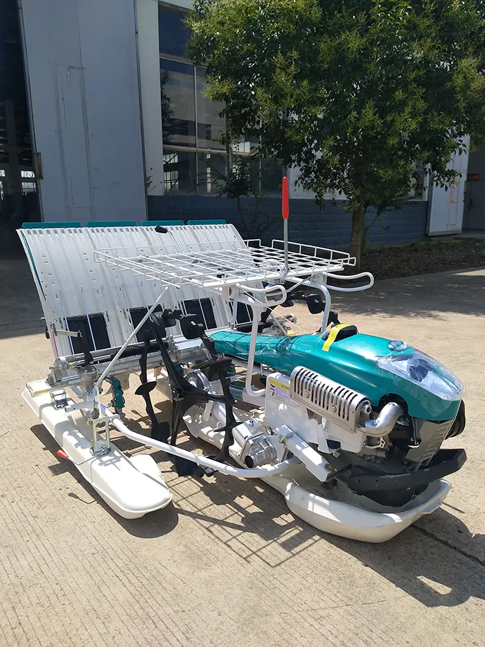 Transplantador de arroz de alta velocidad para caminar en campo de arroz Manuel Paddy Field en venta