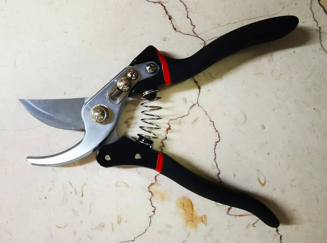 Tijeras de podar de bypass de acero al carbono de alta calidad con mango de PVC para podar