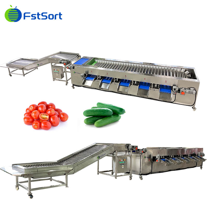 Máquina de clasificación y graduación de tomates cherry, línea de procesamiento de pepinos y gherkins, clasificador de tamaño de pimientos cherry