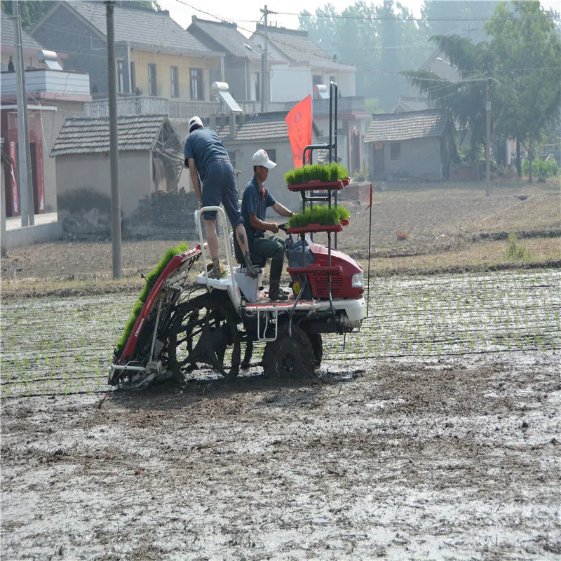 Transplantador de arroz cultivador de seis filas tipo de alta velocidad diésel