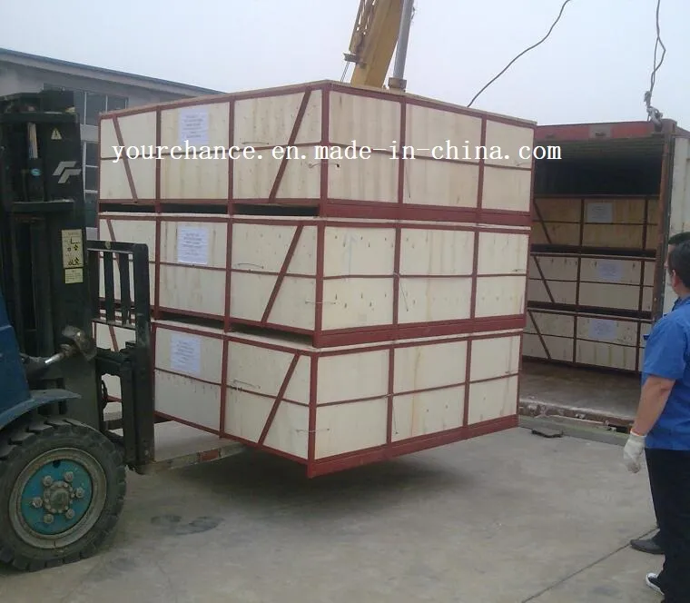 Venta Caliente en India 2z-8238 8 Filas 238mm Ancho Tipo de Conducción Transplantador de Arroz de Alta Calidad y Bajo Precio