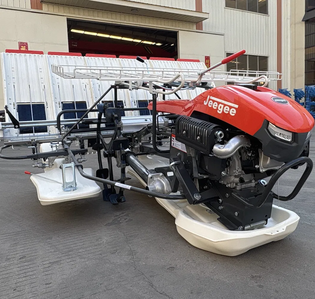 Transplantador de Arroz Eléctrico Mini Avanzado 6-Row en campo