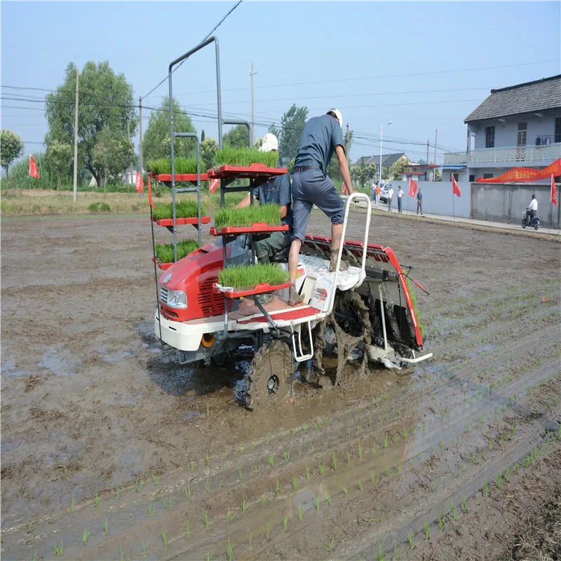 Transplantador de arroz cultivador de seis filas tipo de alta velocidad diésel