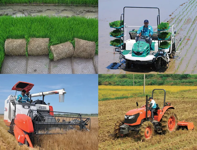 Maquinaria Agrícola Kubota 6 Transplantadora de Arroz de Tipo Montado en Fila Spv-6cmd
