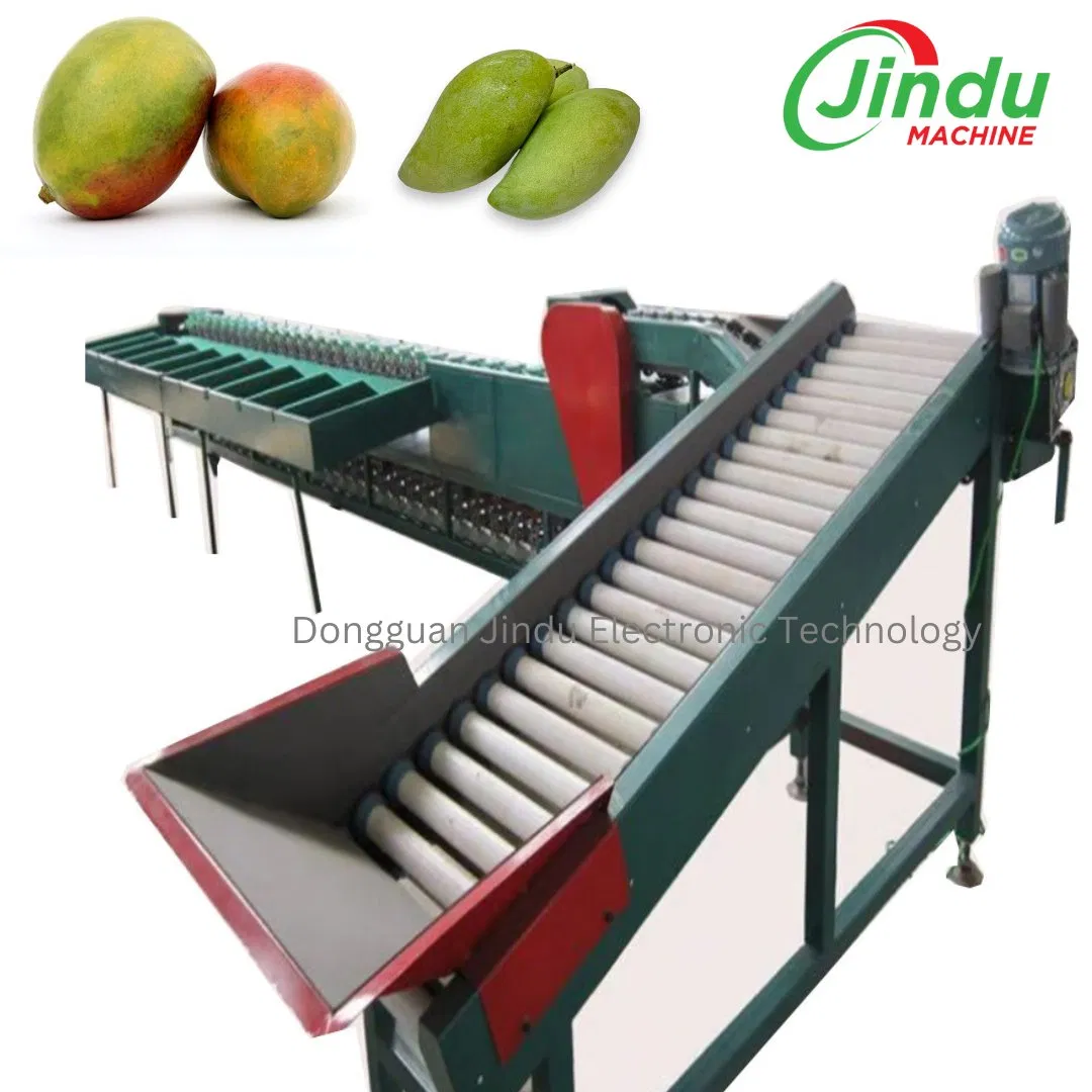 Máquina clasificadora de peso para frutas de mango