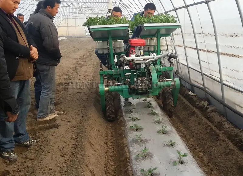 Transplantador de verduras multifuncional Pimiento / Pepino / Cebolla