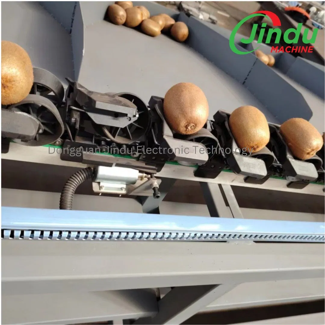 Máquina de clasificación de mangos Clasificar por peso Procesamiento de frutas Empaque