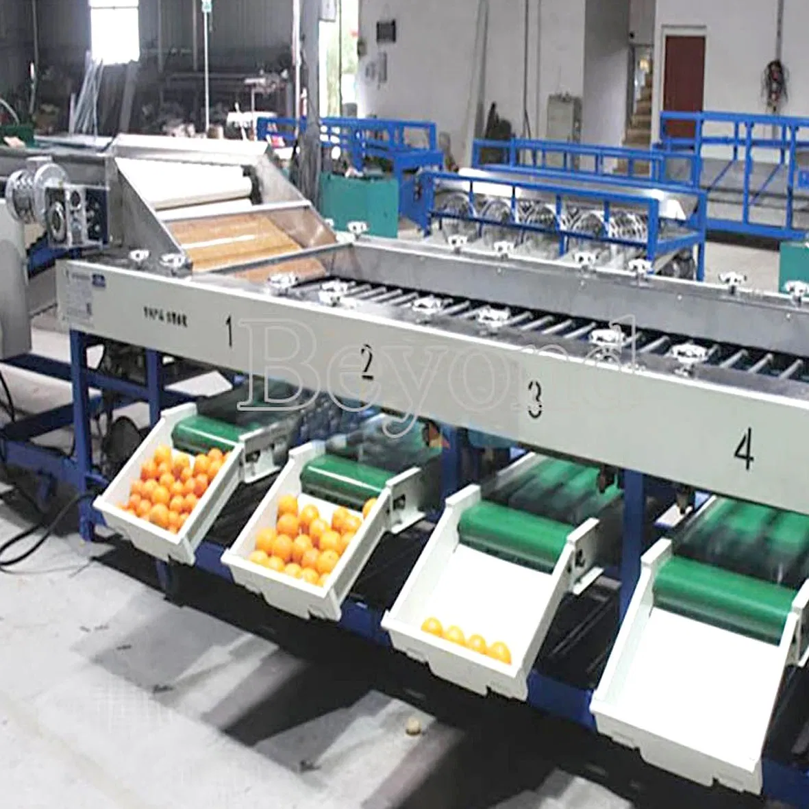 Equipo de procesamiento de jugo de frutas, máquina automática de clasificación de mangos