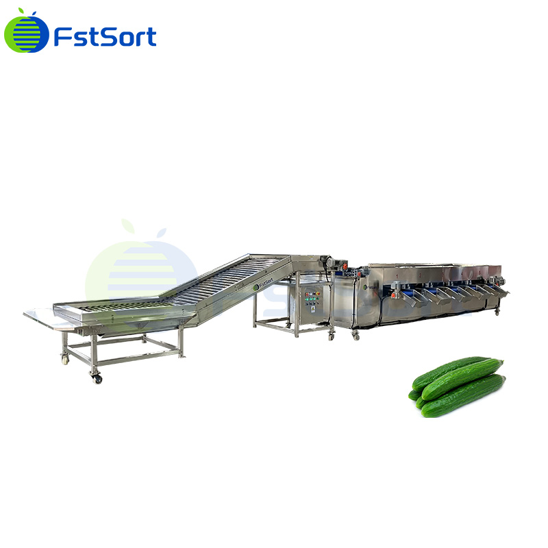 Máquina de clasificación y graduación de tomates cherry, línea de procesamiento de pepinos y gherkins, clasificador de tamaño de pimientos cherry