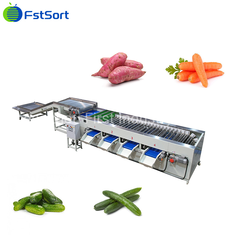 Máquina de clasificación de pepinos de gran capacidad Fstsort, máquina de procesamiento de pepinos, equipo de clasificación, máquina de dimensionamiento de frutas y verduras, clasificación de rodillos en seis niveles