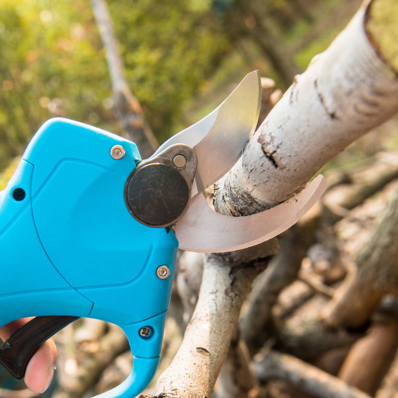 Podadora Eléctrica Suca Profesional 25mm Tijera Eléctrica para Poda de Frutas Podadora Eléctrica de Bypass Puede Ser Equipado con Barra de Extensión
