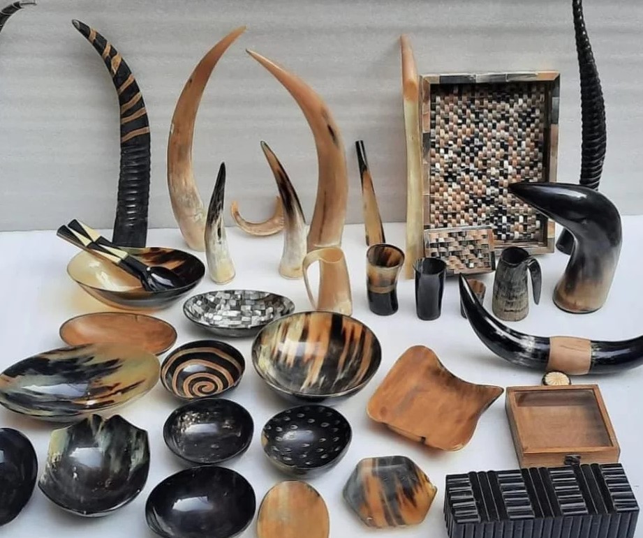 Buffalo & ox horn collection