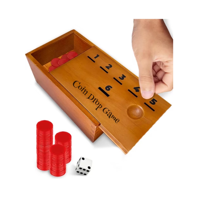 Wooden Coin Drop Game Set with Dice and Chips Educational Counting Math Game for Kids and Family