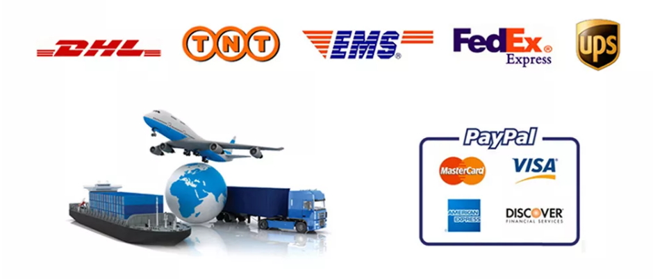 Shipping Info Graphic