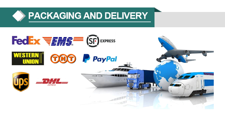 Shipping and Payment