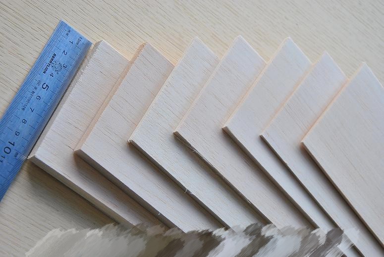 Balsa wood sample 5
