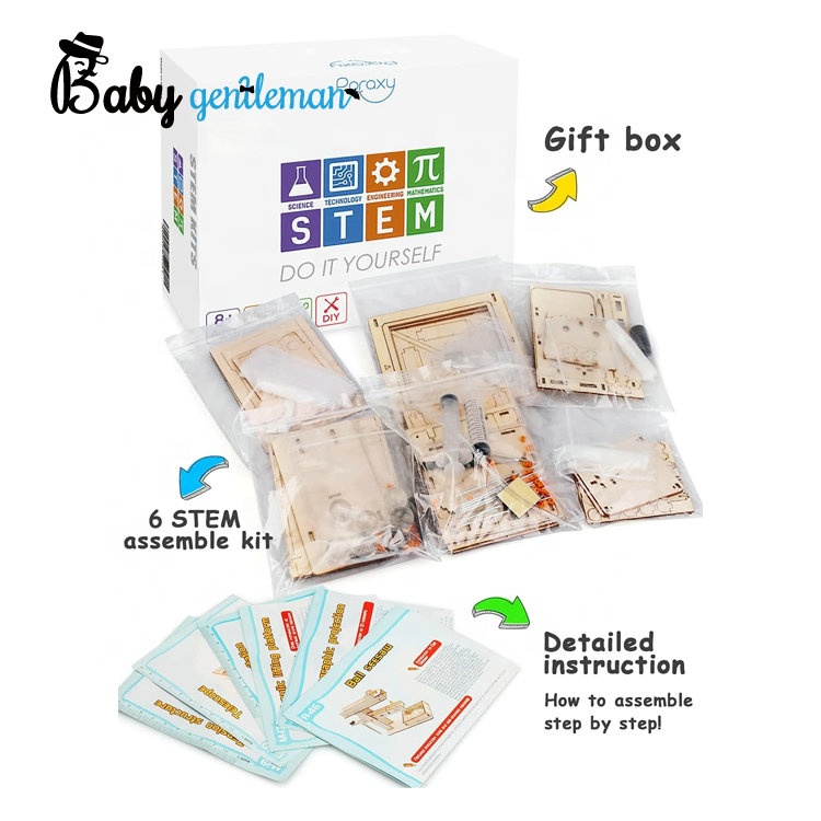 Hot Sale Educational DIY 3D Puzzle Model 6 in 1 Wooden STEM Toys for Kids Z04104G