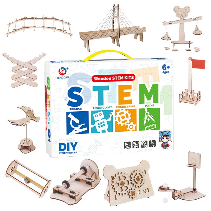 Custom STEM Toy Physical Learning Kit Mechanics Science Experiment Kit 3D Wooden Puzzle Educational Toys for Student Teaching Resources