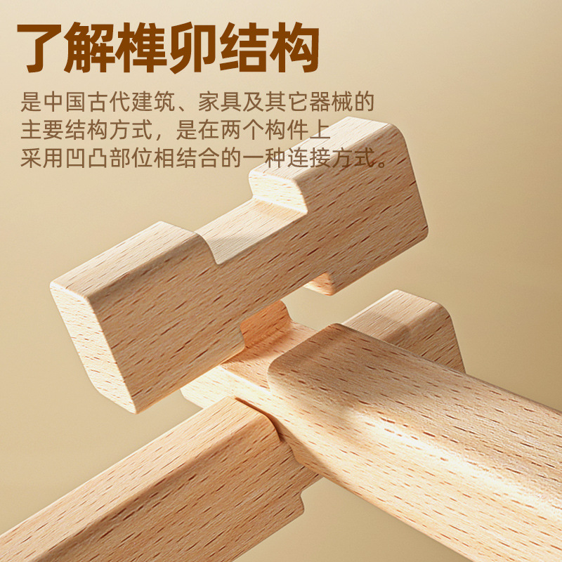 IWOOD DIY Wooden House Kit Mortise &amp; Tenon Building Blocks Educational Construction Toy for Kids Sets Packaging