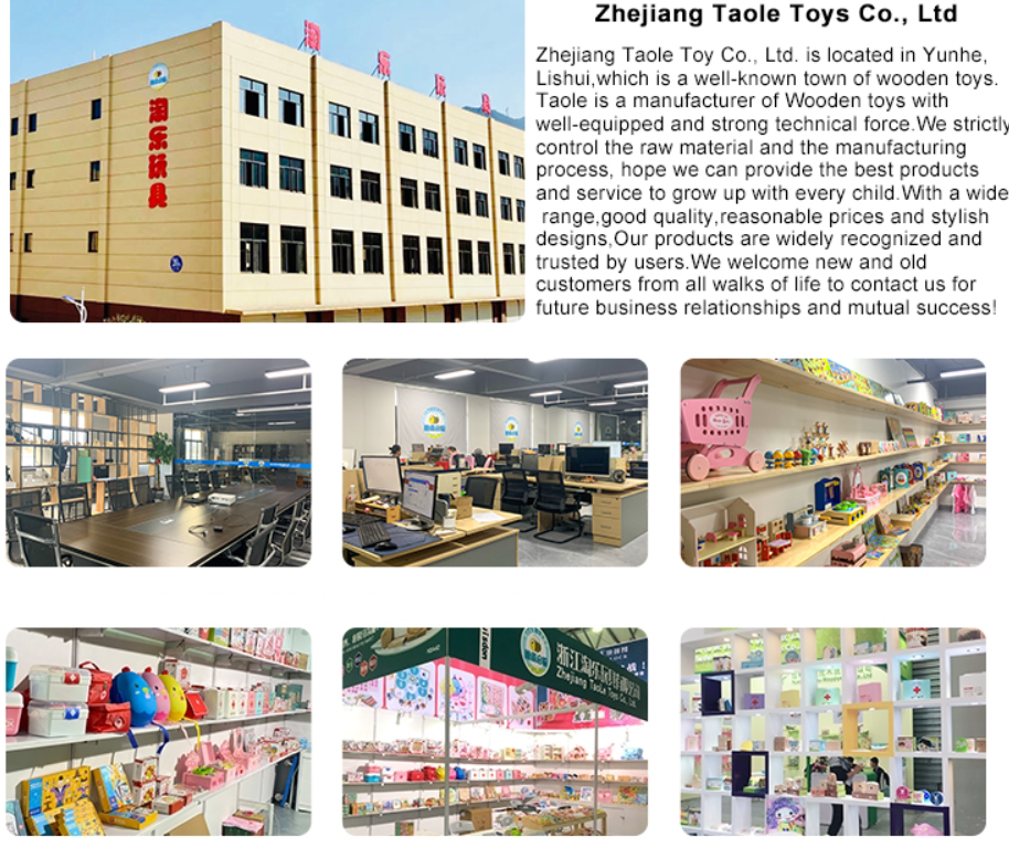 Company Overview 1