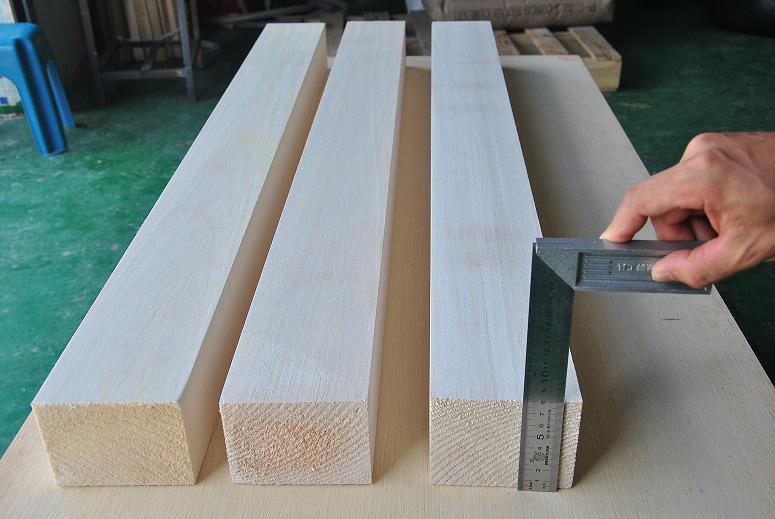 Balsa wood sample 8