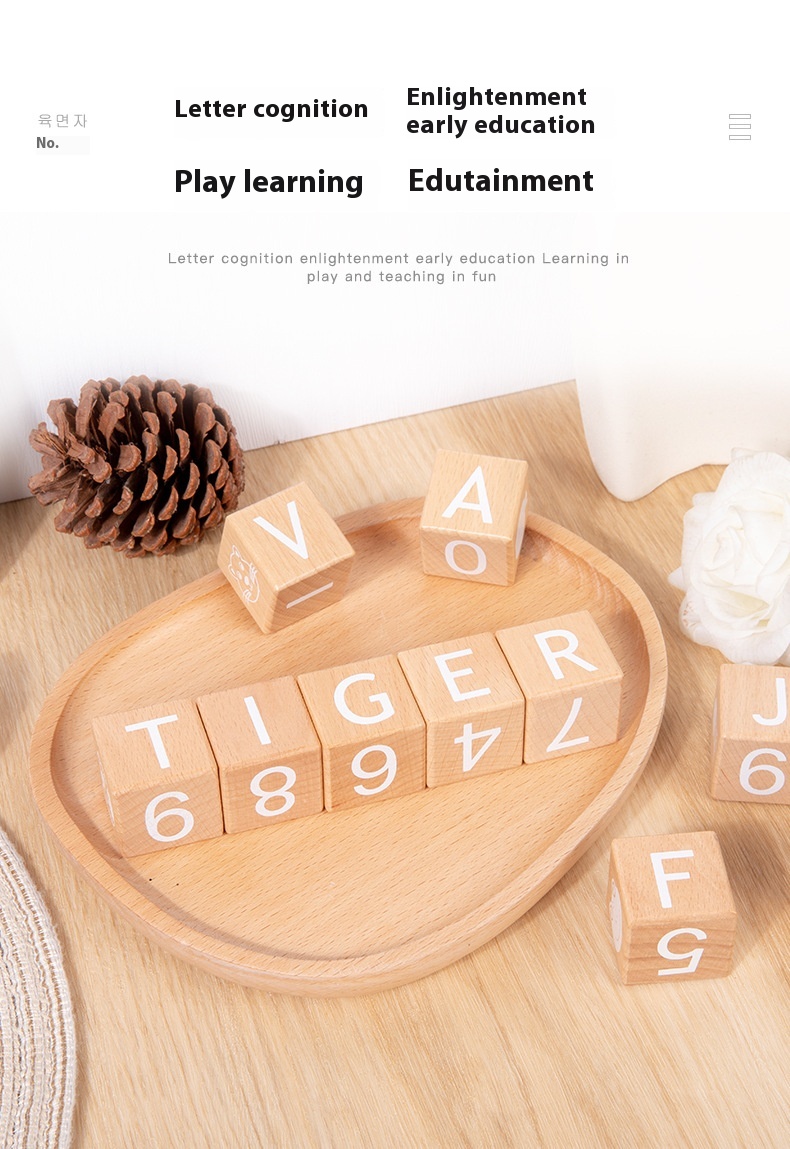 Large ABC Letter Number Building Blocks Eco-Friendly Beech Wood Infants' Cognitive Early Education Enlightenment Toy Square Icon