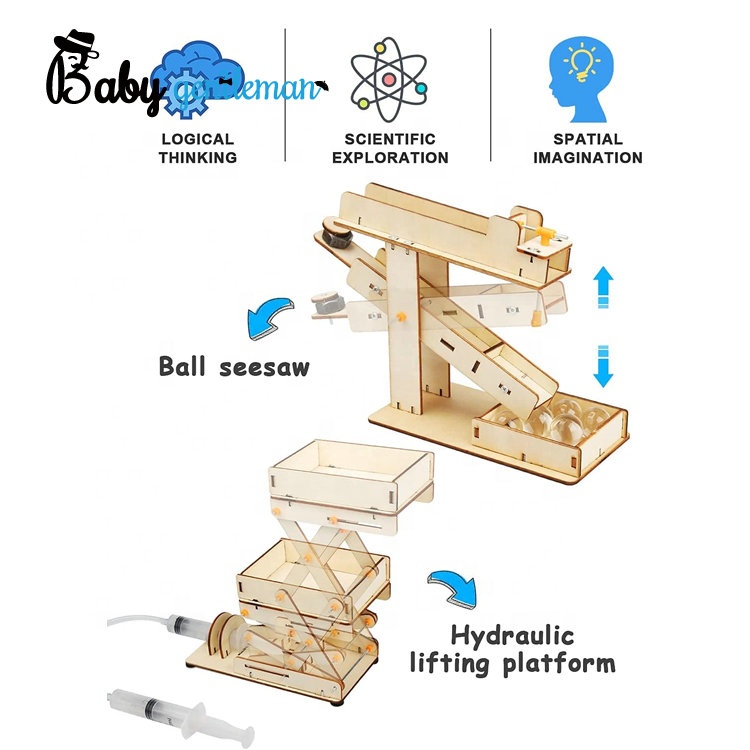 Hot Sale Educational DIY 3D Puzzle Model 6 in 1 Wooden STEM Toys for Kids Z04104G