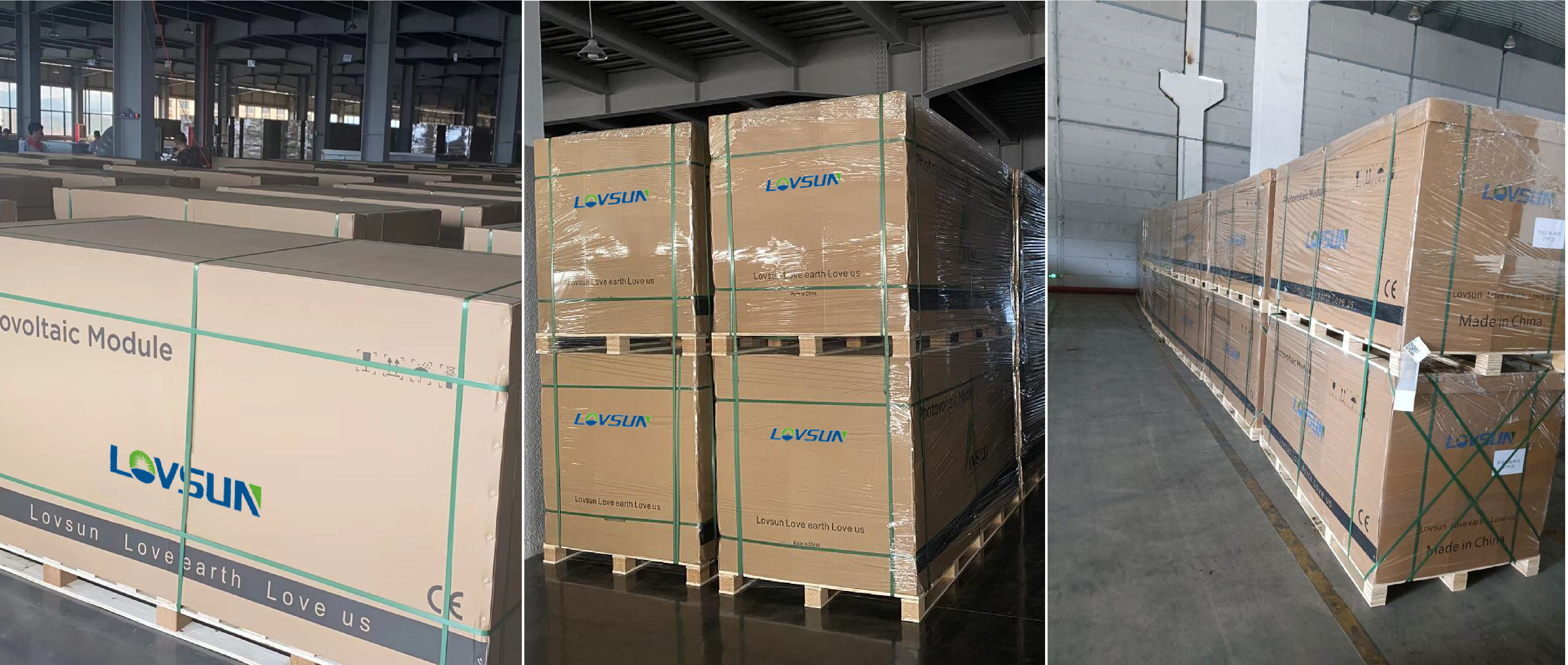 Delivery and Transport Operations