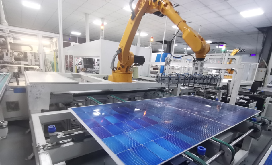 Renewable Energy Supplier