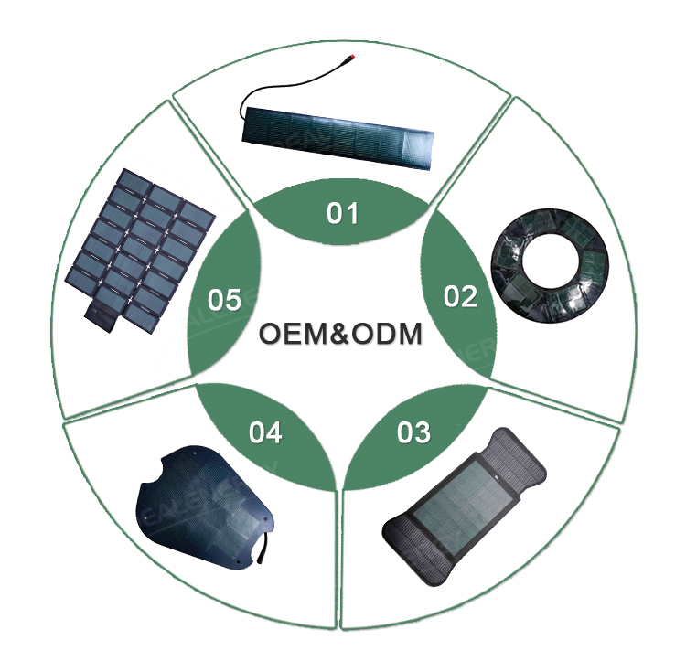 OEM Customization 2