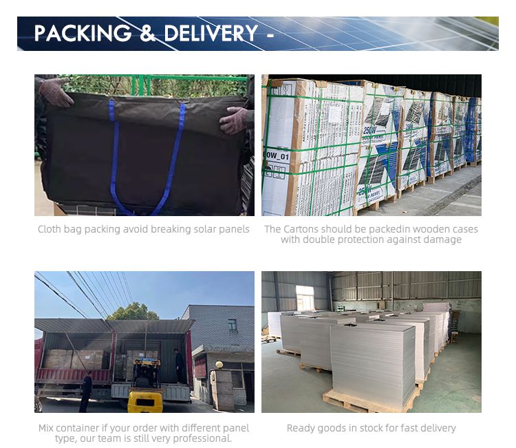 Shipping Details