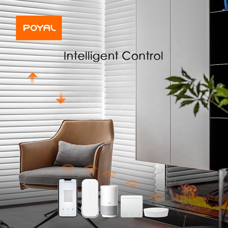 Modern Built-In Electric Motor Ultra-Thin Solar Panel Type-C Charging Window Work Automatic Remote Control Wifi Connectivity